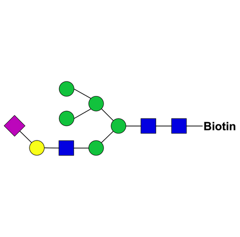 2,6-sialylated hybrid-type-biotin