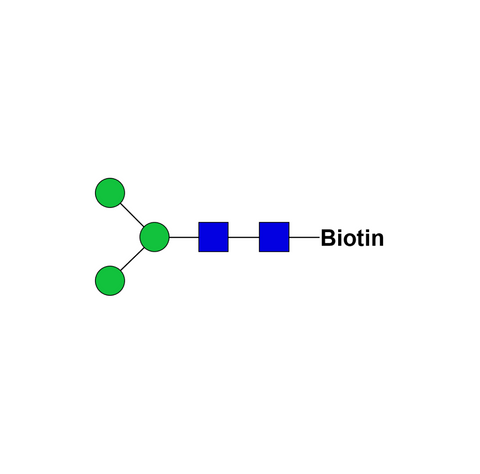 Man3-biotin