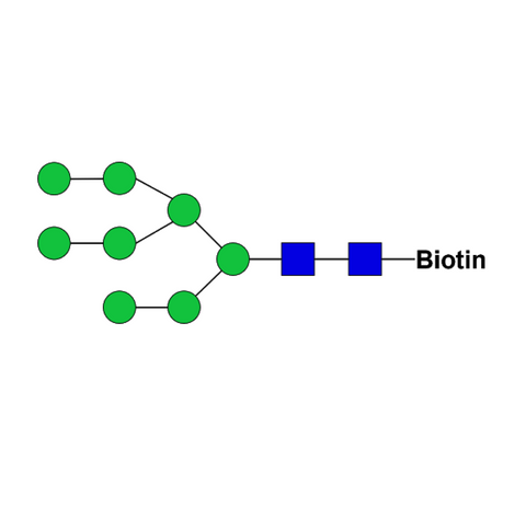 Man8D2D3-biotin