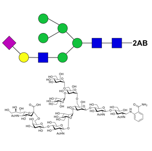 2,6-sialylated hybrid-type-2AB