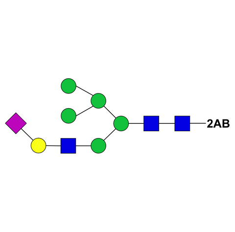 2,6-sialylated hybrid-type-2AB