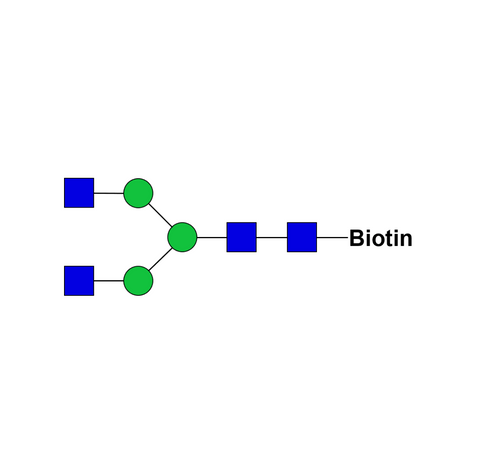 Asialo, agalacto complex-type glycan-biotin
