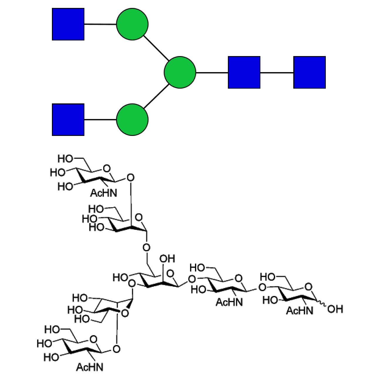 Asialo, agalacto complex-type glycan