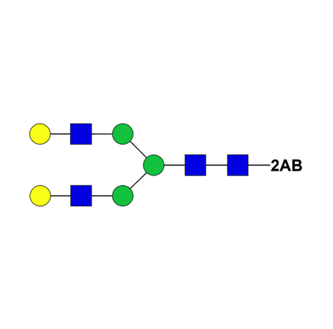 Asialo complex-type glycan-2AB
