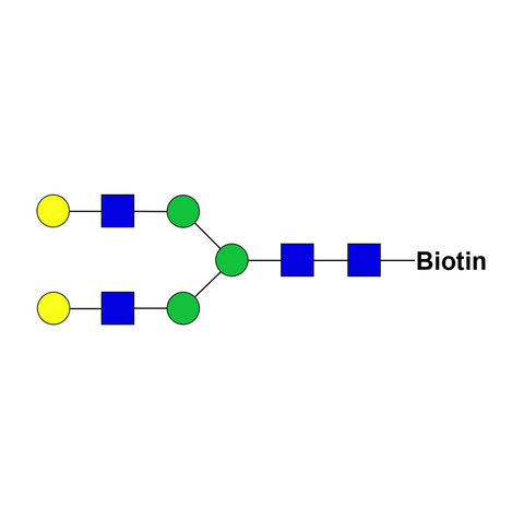 Asialo complex-type glycan-biotin
