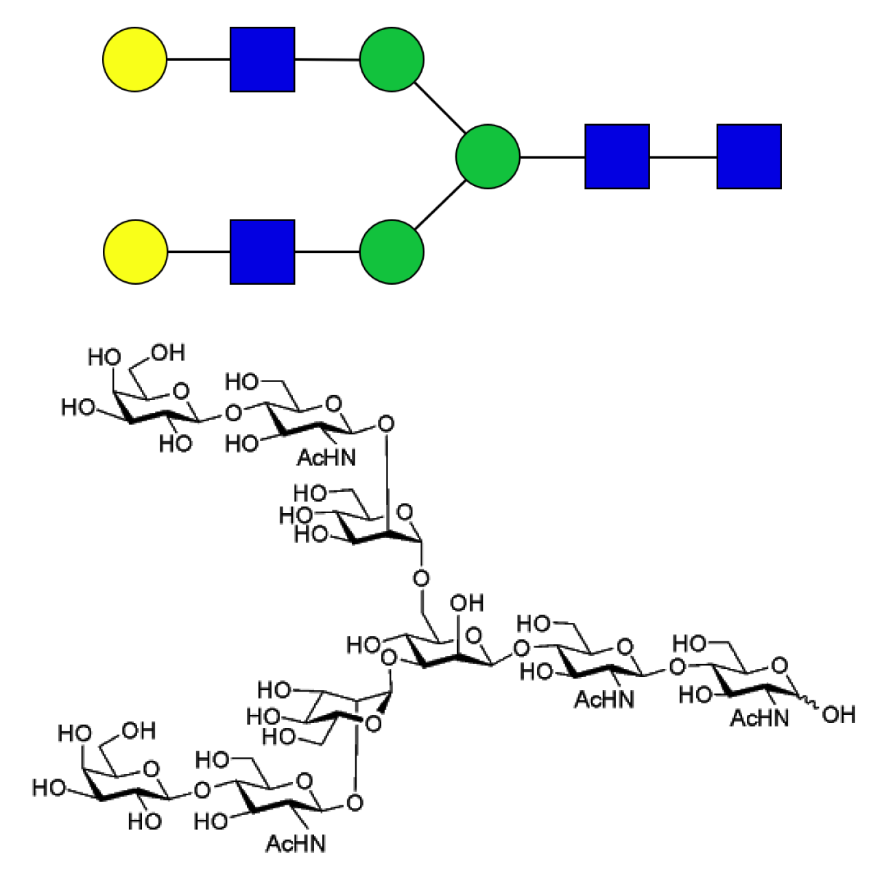 Asialo complex-type glycan