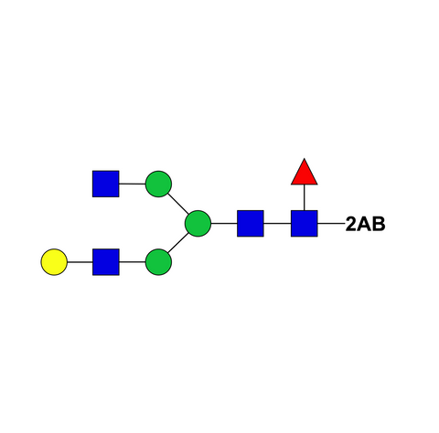 Asialo, monogalactosylated, fucosylated complex-type glycan-2AB
