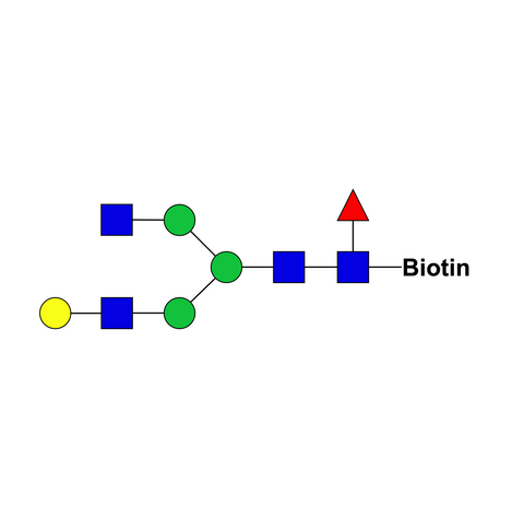 Asialo, monogalactosylated, fucosylated complex-type glycan-biotin