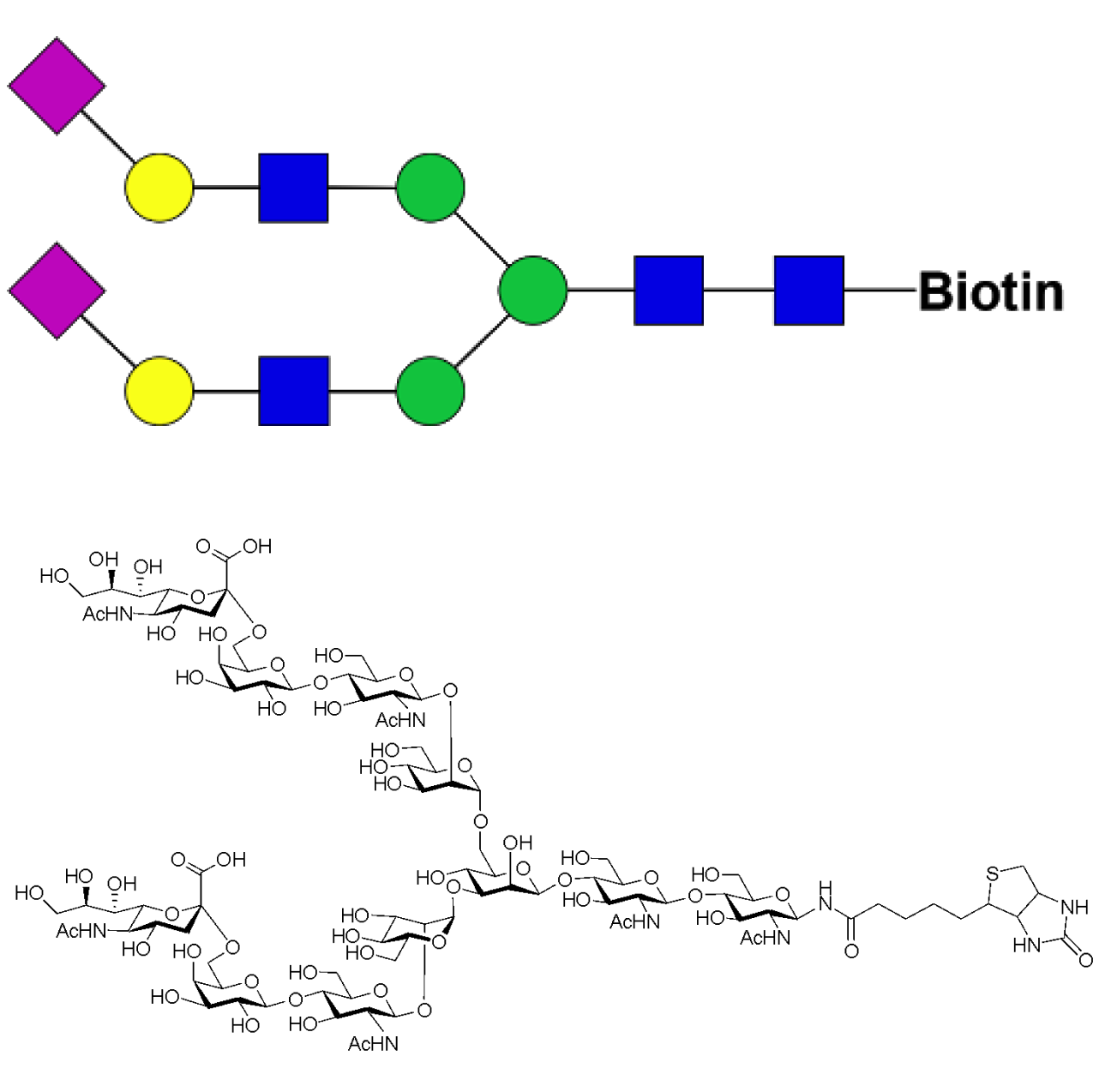 2,6-sialylated complex-type glycan-biotin