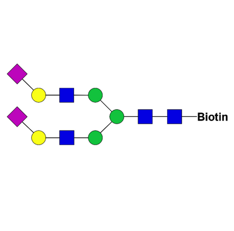 2,6-sialylated complex-type glycan-biotin