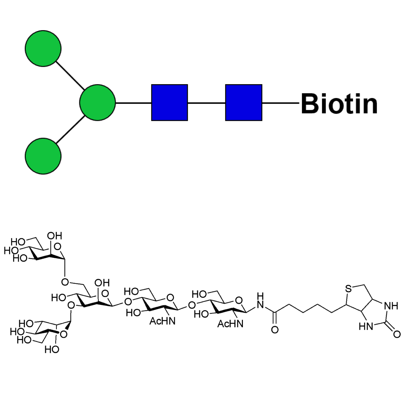 Man3-biotin
