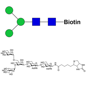 Man3-biotin
