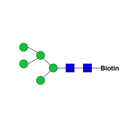 Man5-biotin