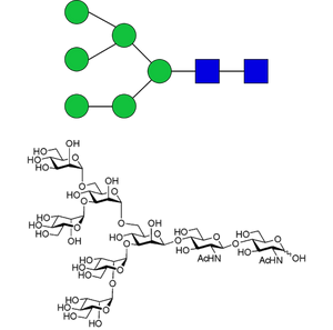 Man6