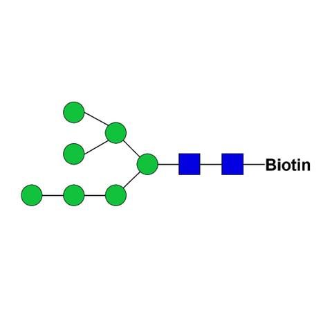 Man7D1-biotin