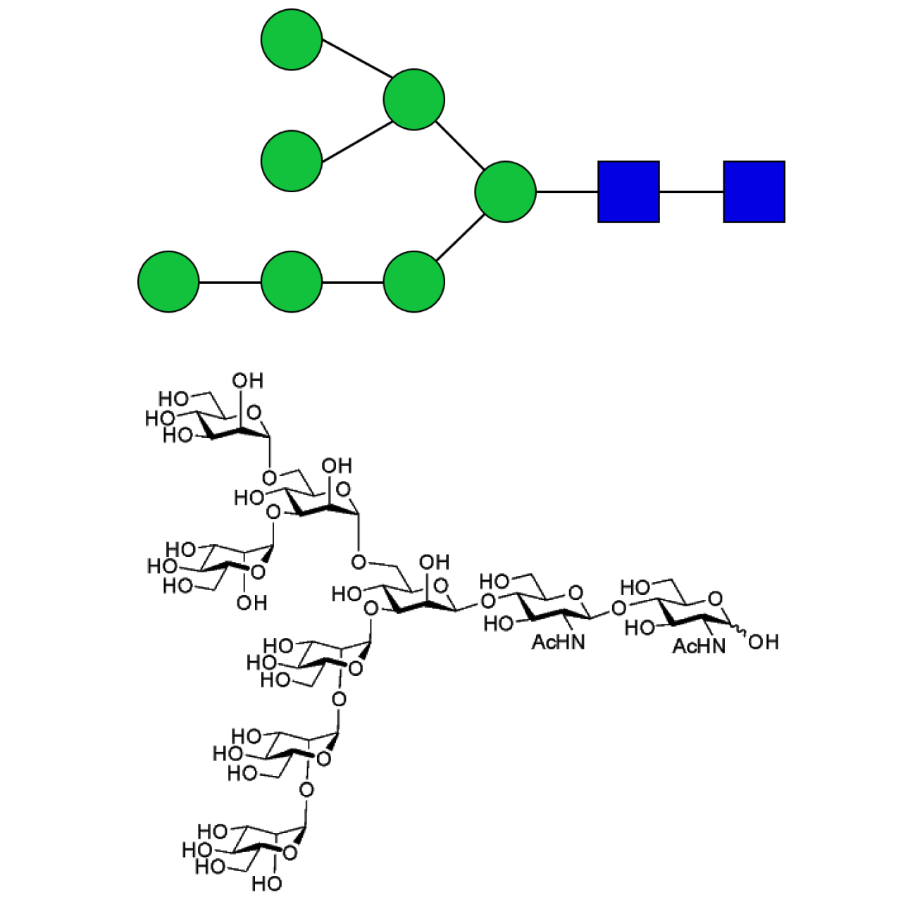 Man7D1