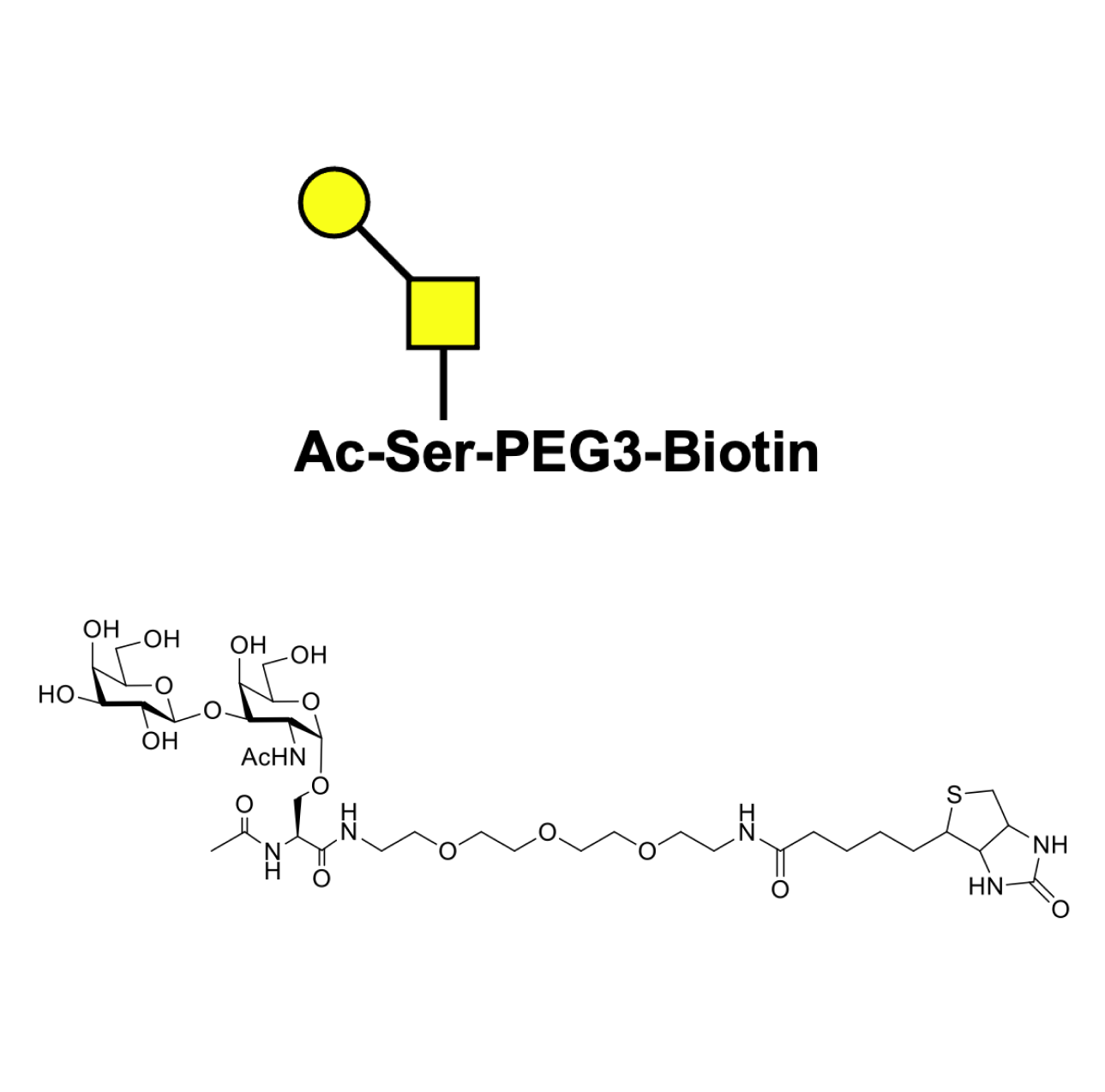 Ser(TF) antigen-biotin