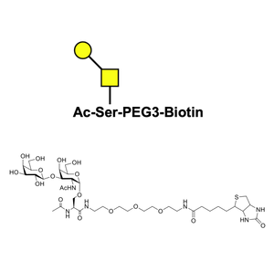 Ser(TF) antigen-biotin