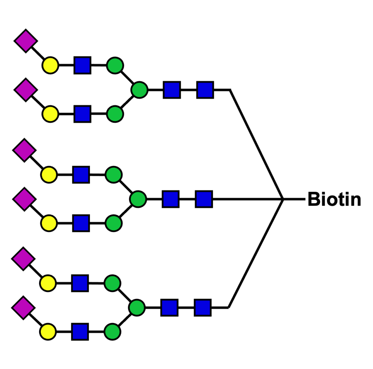Trivalent 2,6-sialylated complex-type glycan cluster-biotin