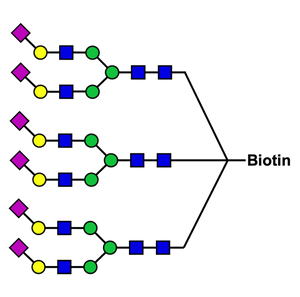 Trivalent 2,6-sialylated complex-type glycan cluster-biotin