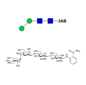 Truncated core glycan-2AB