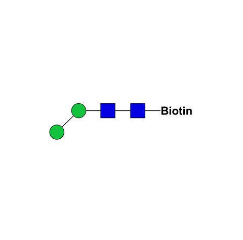 Truncated core glycan-biotin