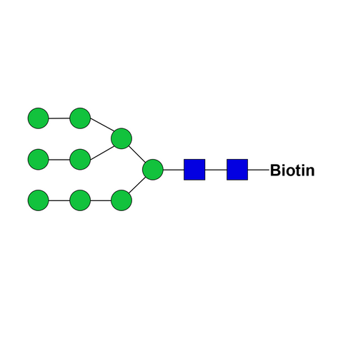 Man9-biotin